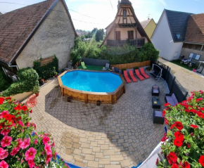 Appartement de 2 chambres avec piscine partagee terrasse amenagee et wifi a Biesheim